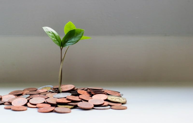 Risk Management and Portfolio Diversification for WGHS