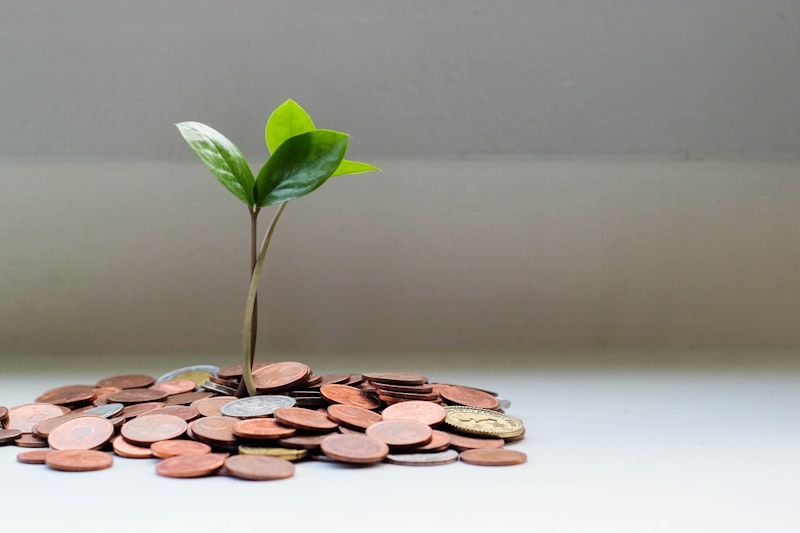 Financial growth and returns represented by currency imagery